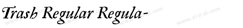 Trash Regular Regula字体转换